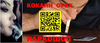 крисы Малоярославец
